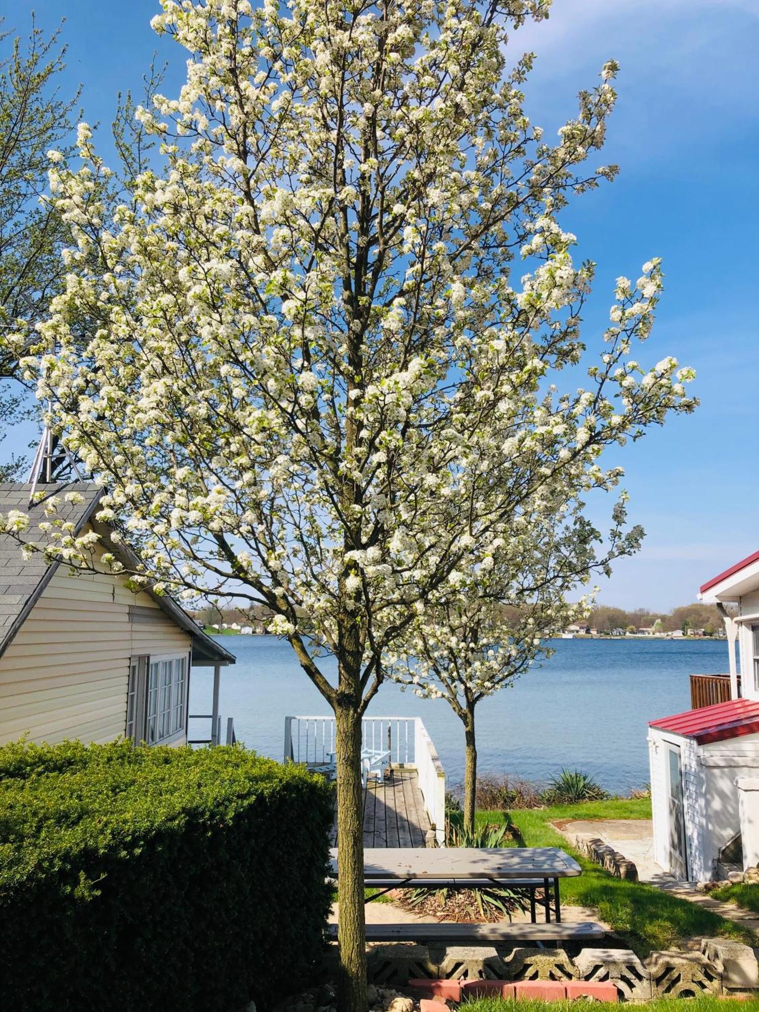 The Wellington Lake Cottage Middlebury المظهر الخارجي الصورة