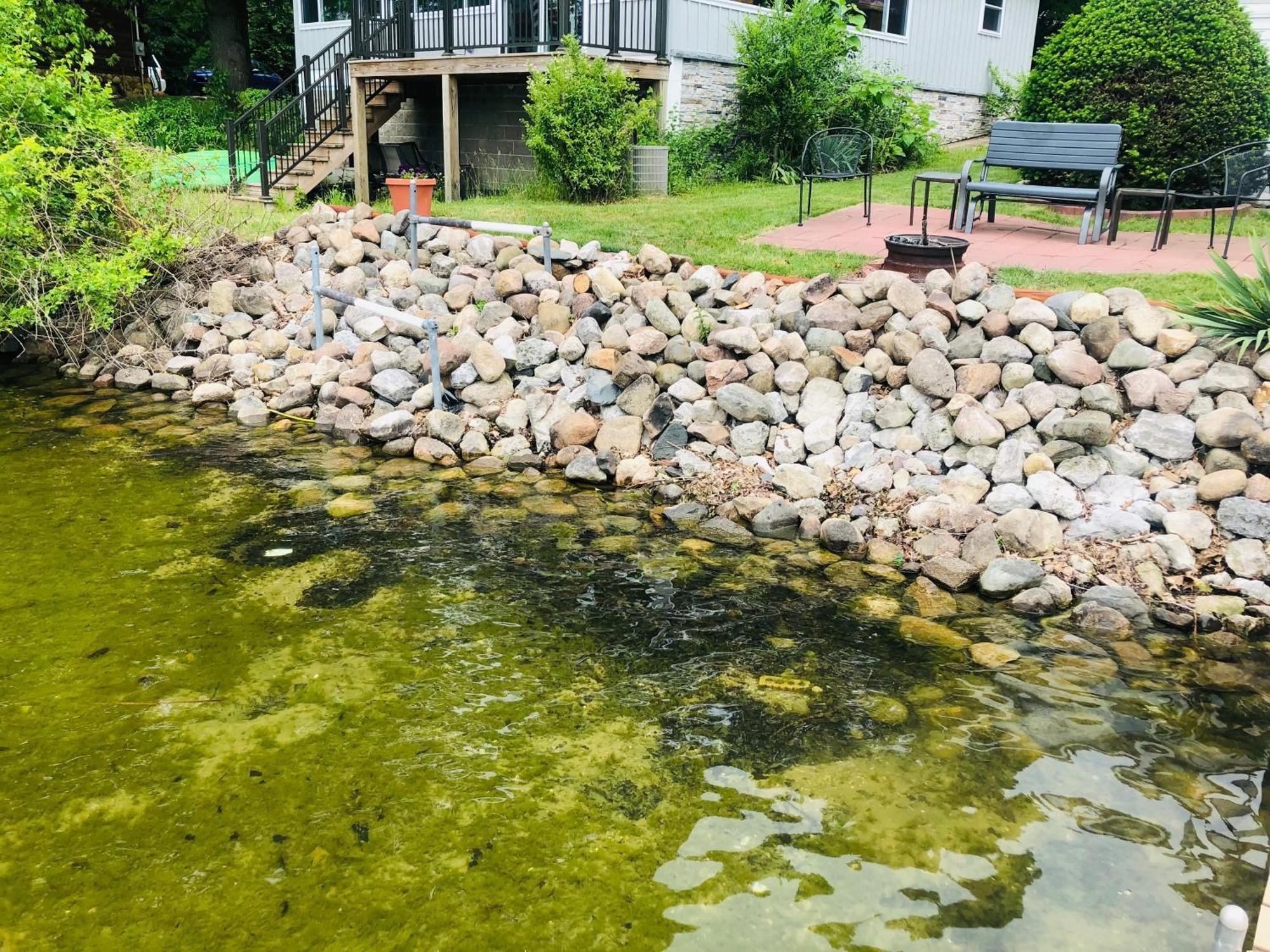 The Wellington Lake Cottage Middlebury المظهر الخارجي الصورة
